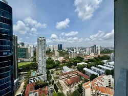 Residences @ Evelyn (D10), Condominium #437886831
